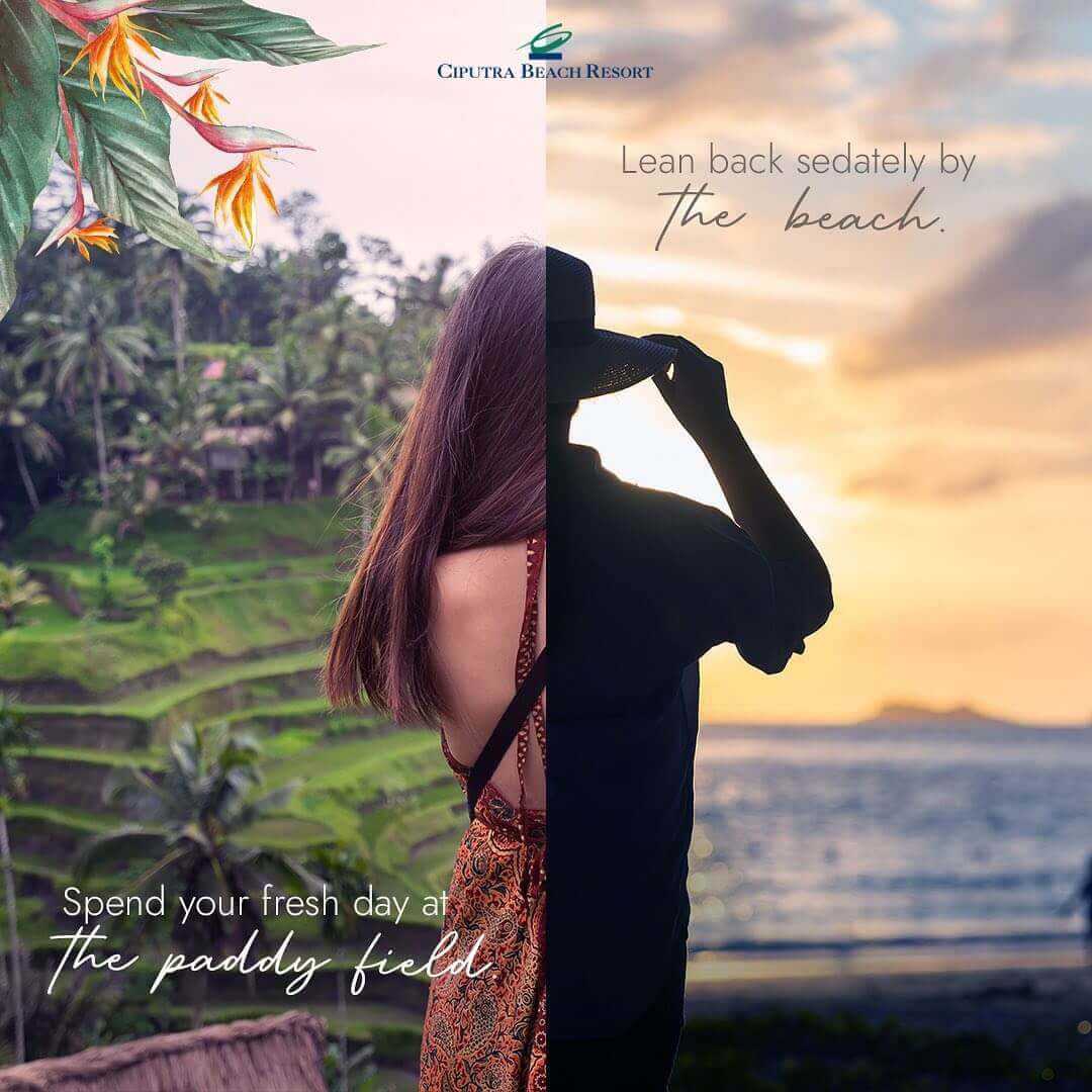 Lean Back Sedately by the Beach, Spend Your Fresh Day at the Paddy Field