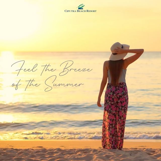 Feel The Sensation: Feel the Breeze of the Summer