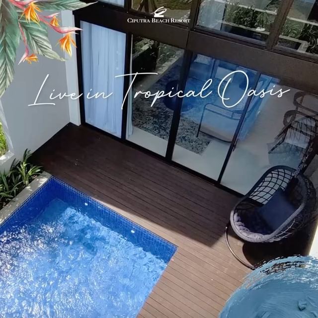 Live In Tropical Oasis