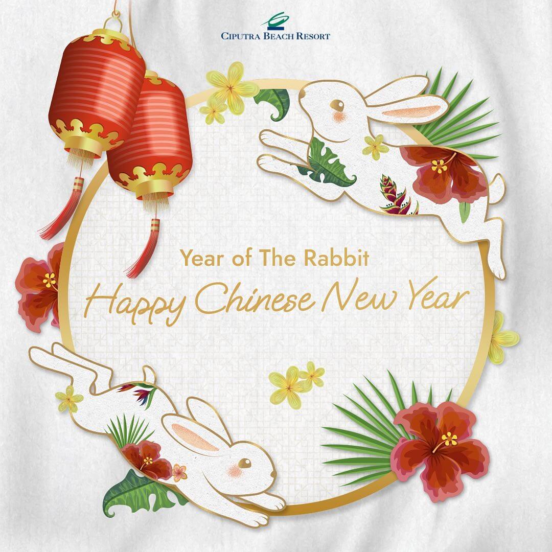 Year of the Rabbit: Happy Chinese New Year